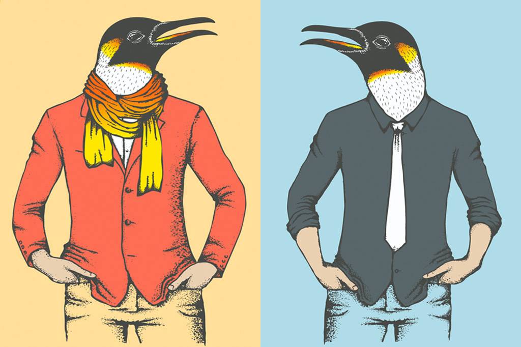 Cocô de pinguim pode deixar você “chapado”