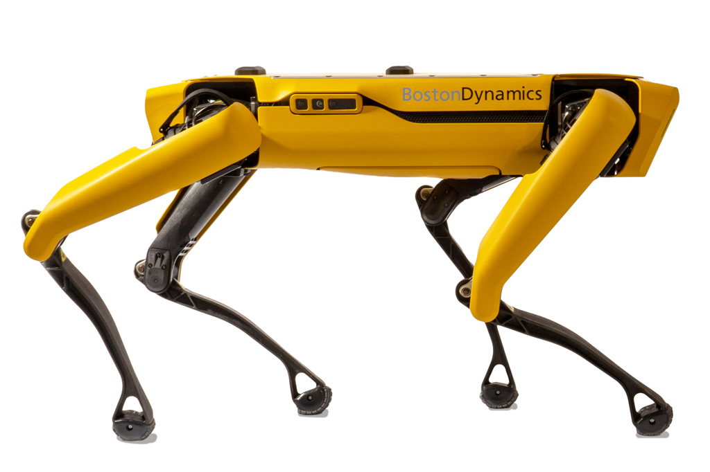 Singapura testa cães robôs para monitorar distanciamento social em parques