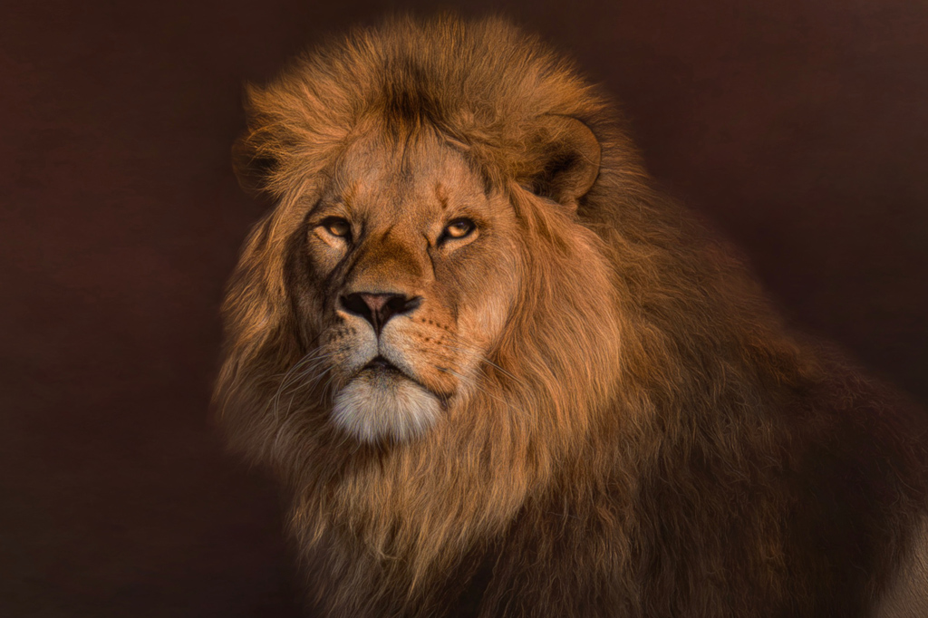 Por que o leão é o símbolo do Imposto de Renda?