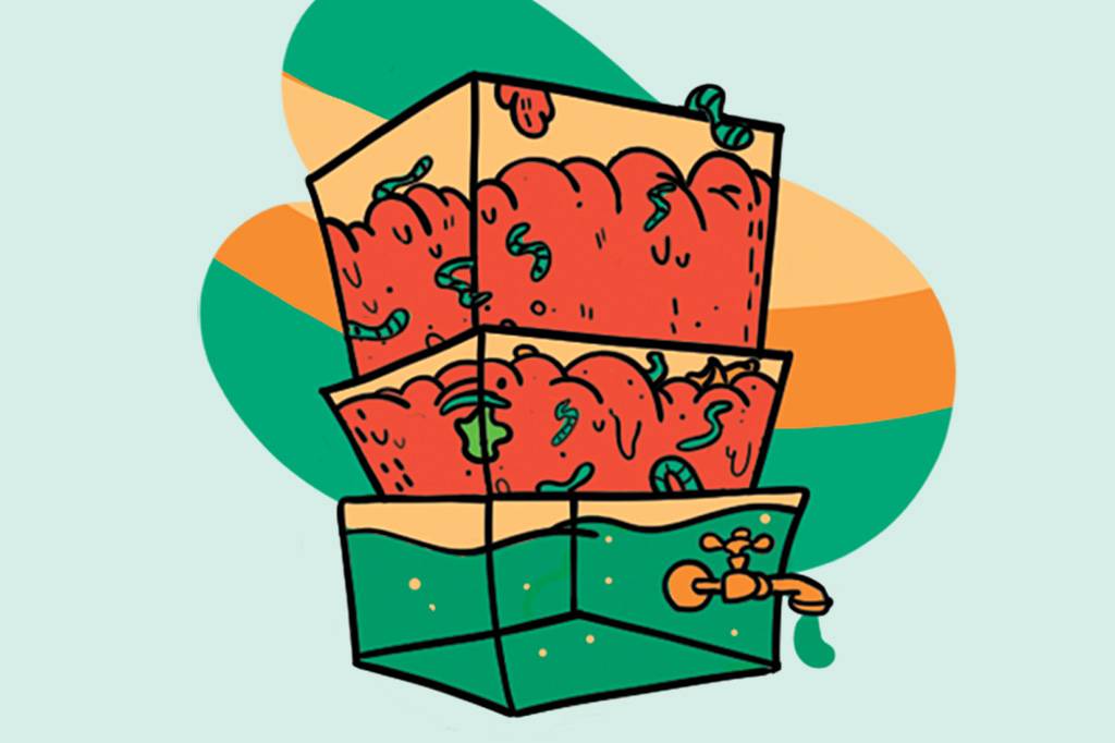 Manual: como montar uma composteira caseira?