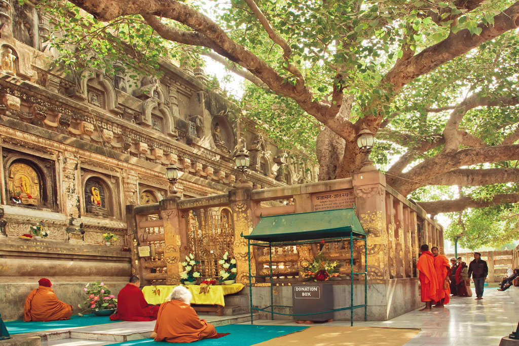 SI_Meditacao_Buda_3 <strong>A figueira onde Sidarta Gautama atingiu o estágio superior de consciência passou a ser conhecida como árvore bodhi – ou árvore da iluminação. Uma de suas mudas deu origem à árvore que hoje está plantada em frente ao templo Mahabodhi, na cidade indiana de Bodhigaya – um dos principais pontos de peregrinação dos budistas.</strong>