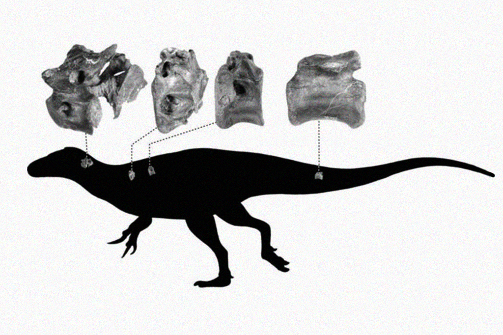 Cientistas descobrem dinossauro parente do T-Rex Cientistas descobrem dinossauro parente do T-Rex
