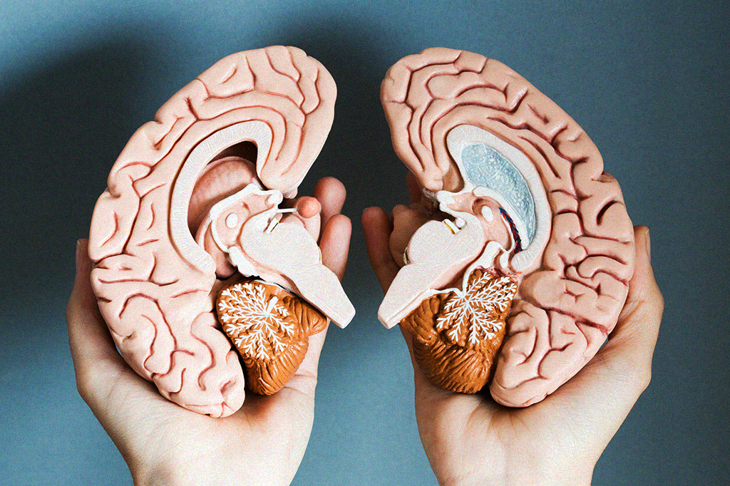 Quando não dormimos o suficiente, nosso cérebro começa a “comer” a si próprio