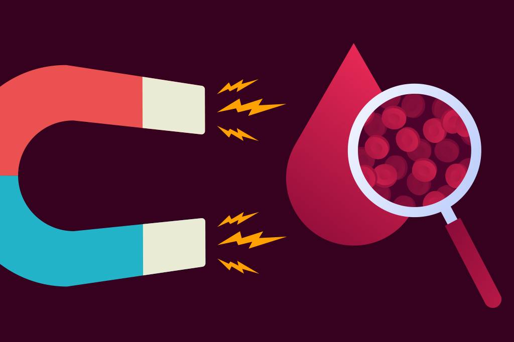 Um ímã seria capaz de atrair o ferro em nosso sangue?
