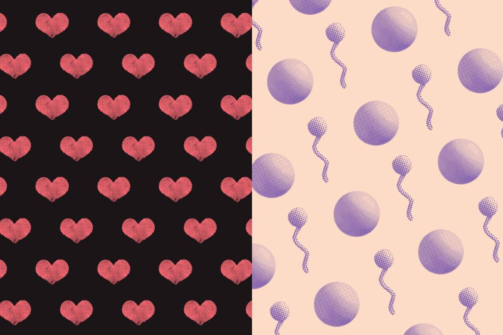 A biologia na guerra dos sexos