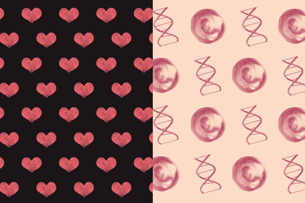 A genética está na raiz do amor