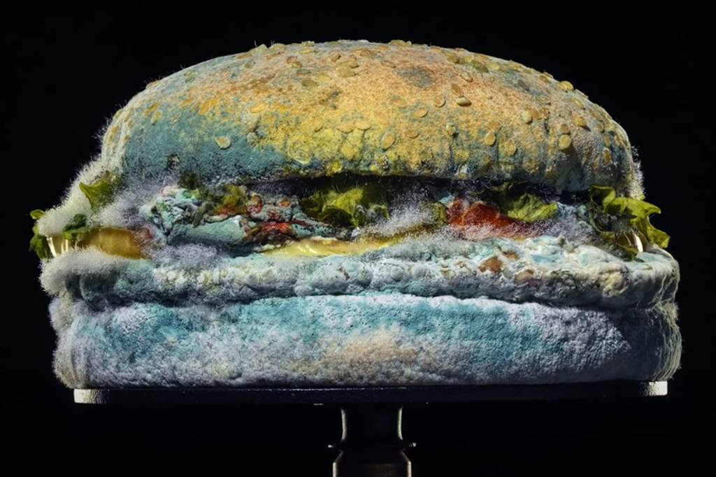Burger King apresenta nova propaganda com Whopper mofado