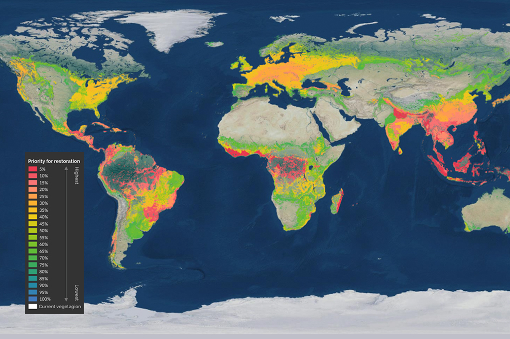 Restaurar 30% das áreas degradadas do planeta pode salvar 71% das espécies em extinção