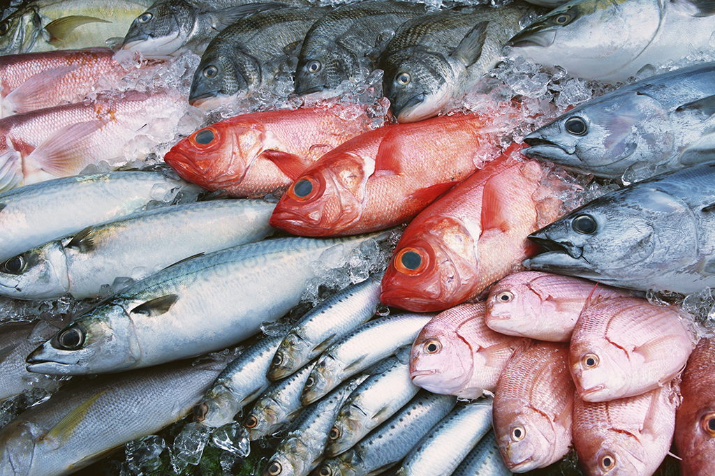 Mutação genética faz com que algumas pessoas não sintam o cheiro de peixe