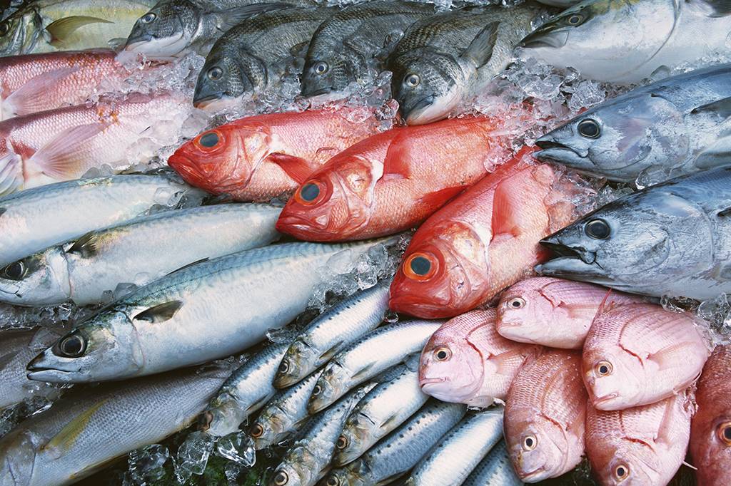 Mutação genética faz com que algumas pessoas não sintam o cheiro de peixe