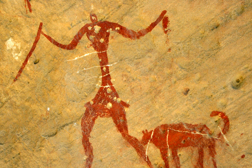 Análise de genomas revela como os primeiros cães acompanharam migrações humanas