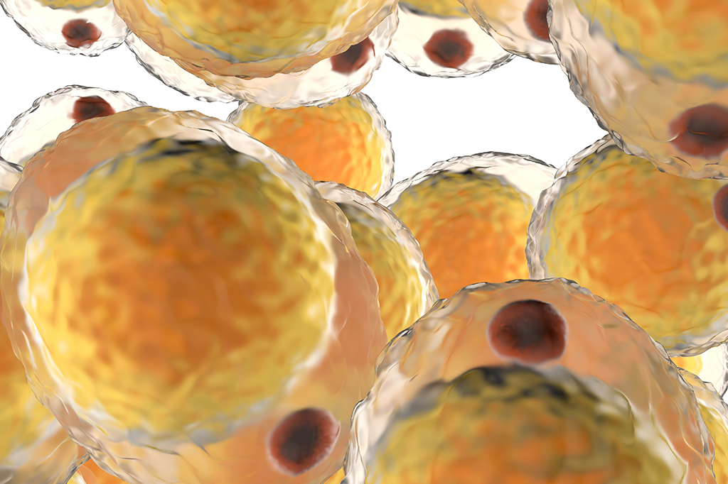 Estoque de lipídios no interior das nossas células é armadilha contra bactérias