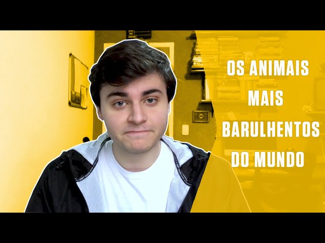 Os animais mais barulhentos do mundo