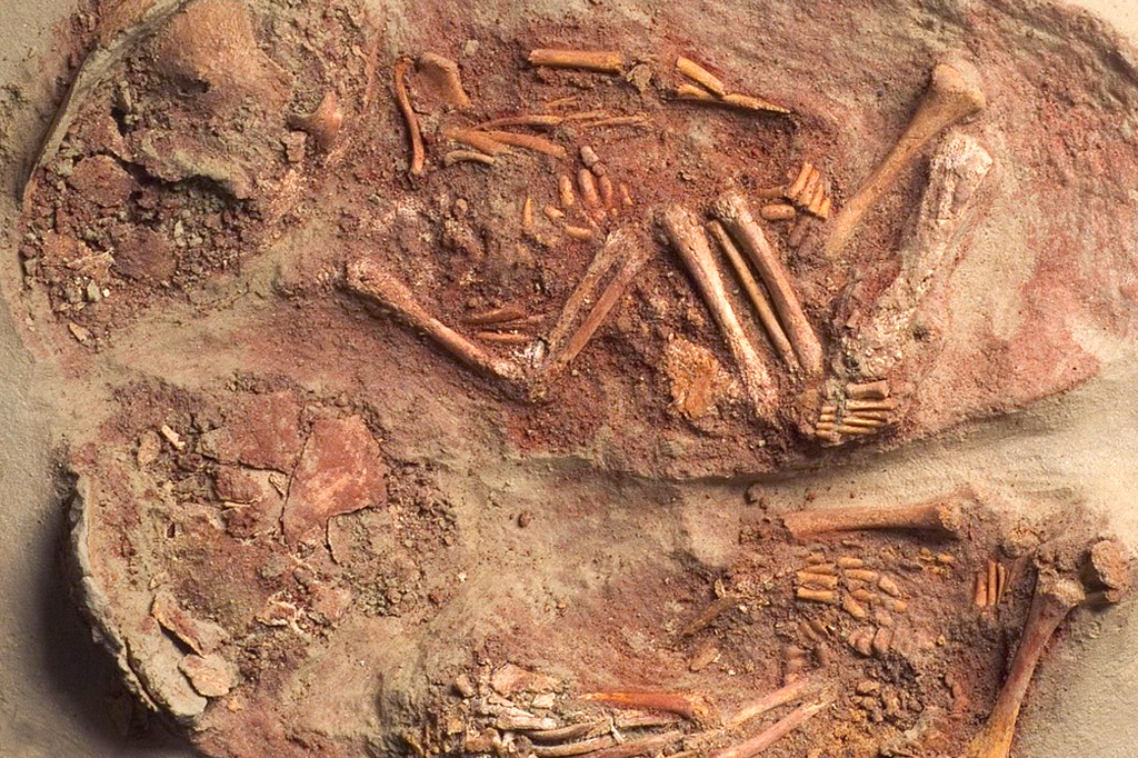 30 mil anos: bebês escavados na Áustria são gêmeos idênticos mais antigos