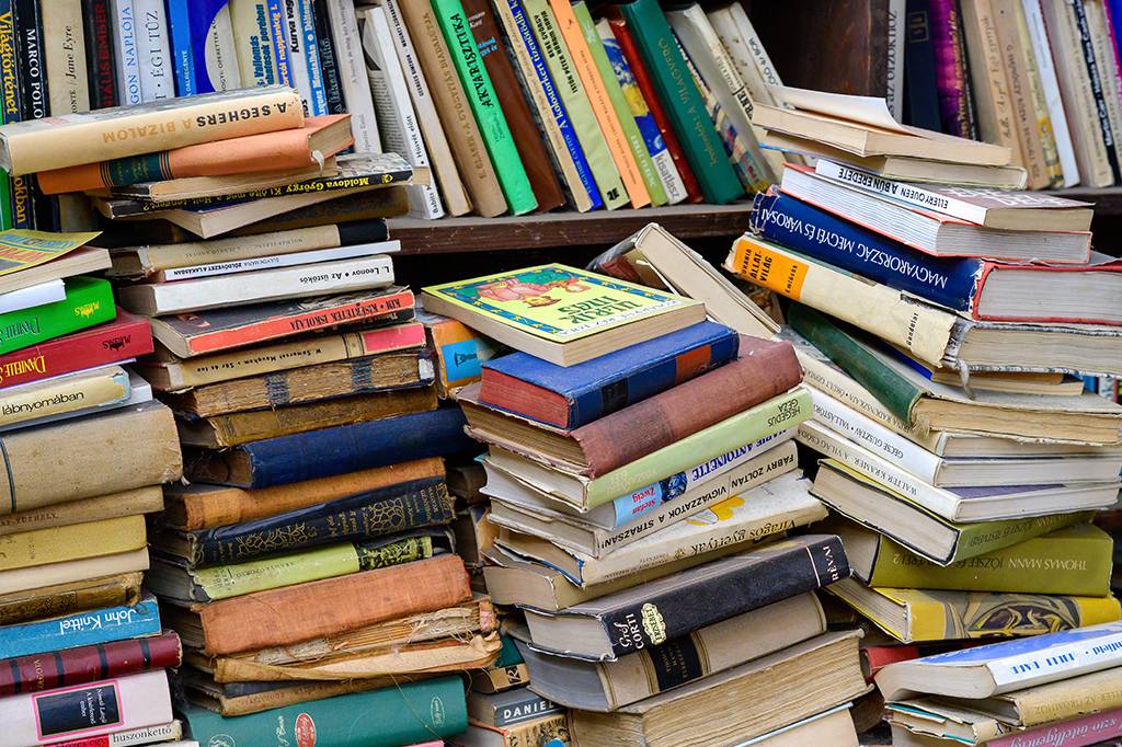 Por que a loja de livros usados se chama “sebo”?