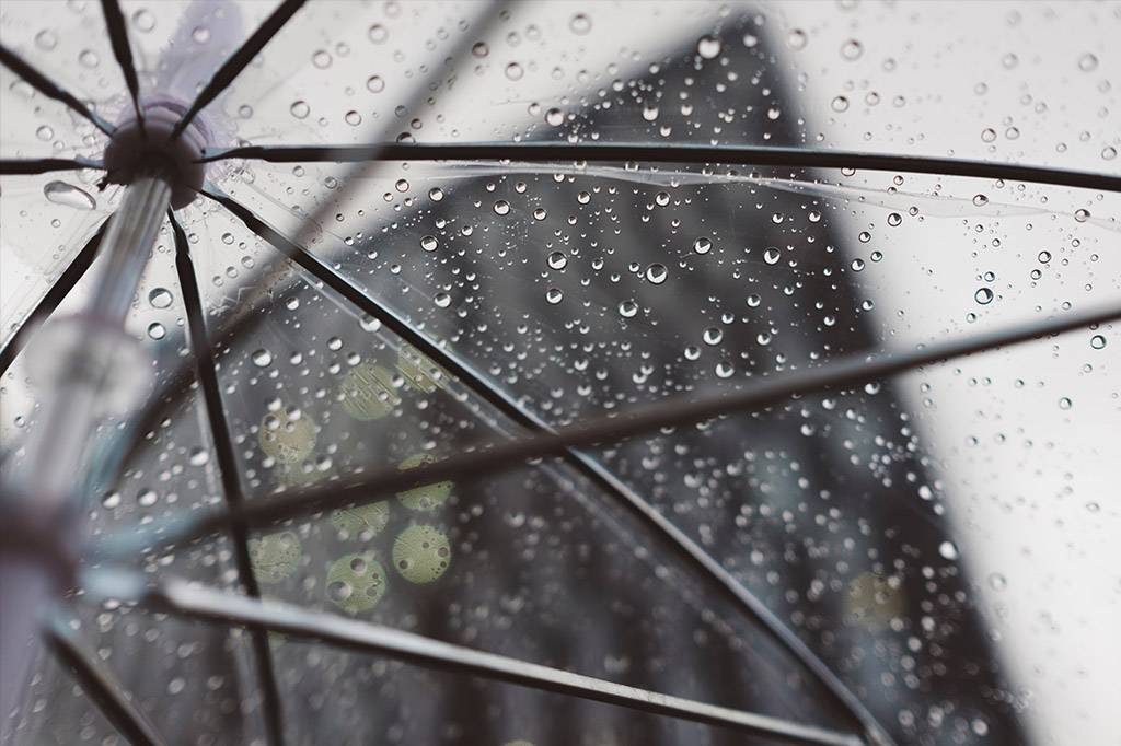 Por que sentimos cheiro de chuva?