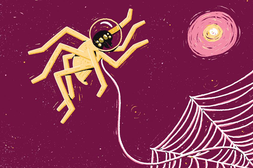 Sem gravidade, aranhas usam luz para diferenciar “em cima” e “embaixo”