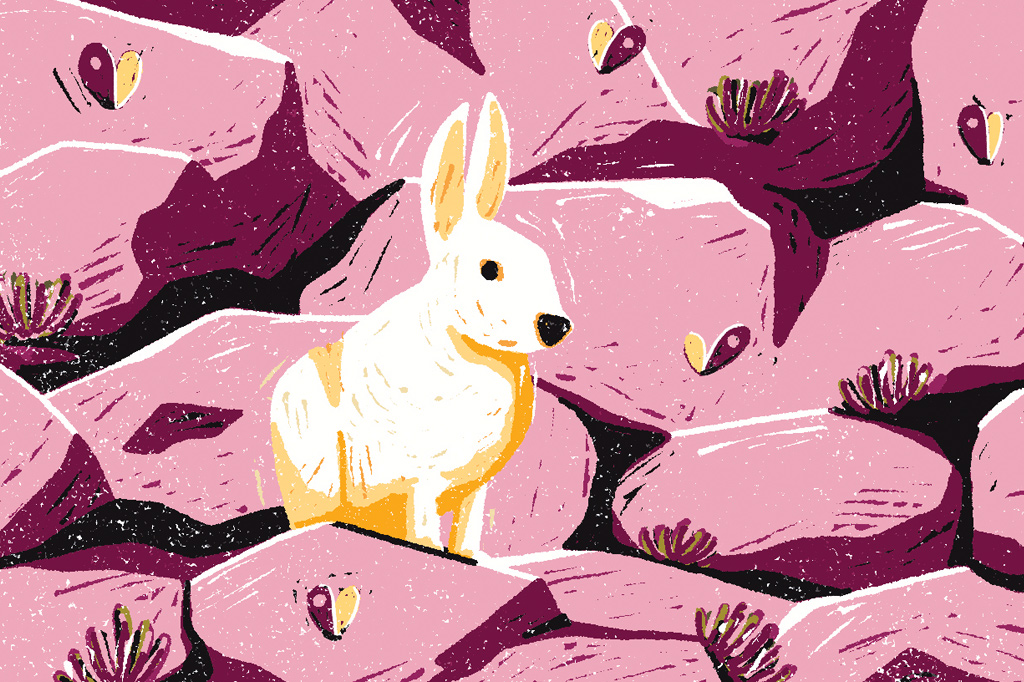 3 notícias sobre… camuflagem