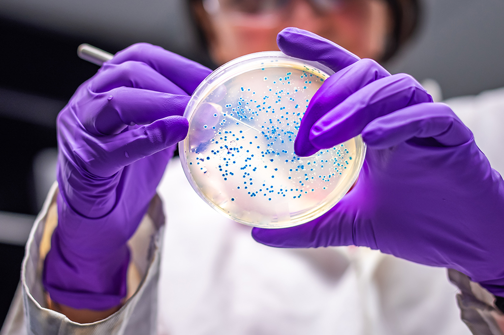 Cientistas “programam” bactérias para armazenar dados