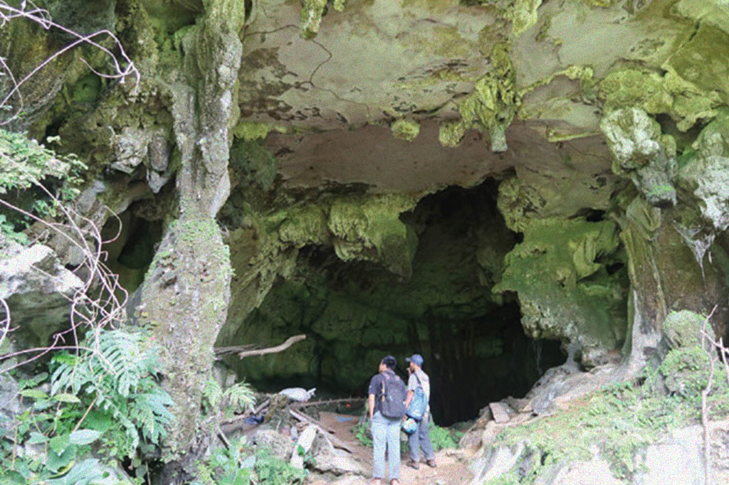 caverna-pintura-rupestre_site Entrada da caverna Leang Tedongnge.