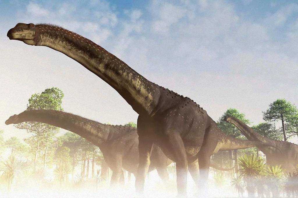 Fósseis encontrados na Argentina podem pertencer ao maior dinossauro já descoberto