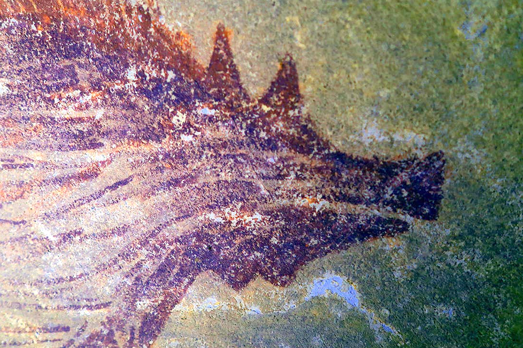 Imagem de um porco pintada na parede de uma caverna.