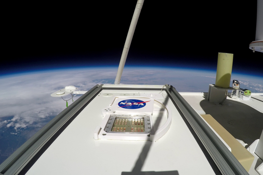 Microorganismos podem sobreviver à atmosfera de Marte, diz estudo NASA