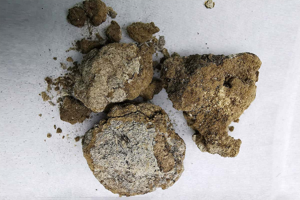 Encontrado “creme” para o rosto usado por nobres chineses há 2.700 anos