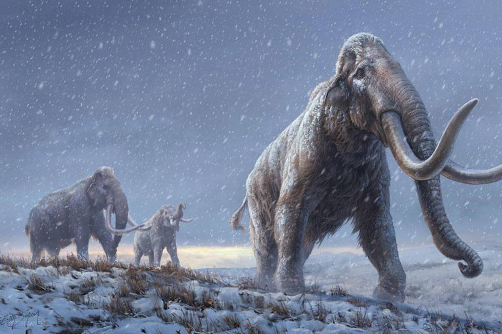 Com 1,2 milhão de anos, DNA mais antigo do mundo revela como mamutes evoluíram