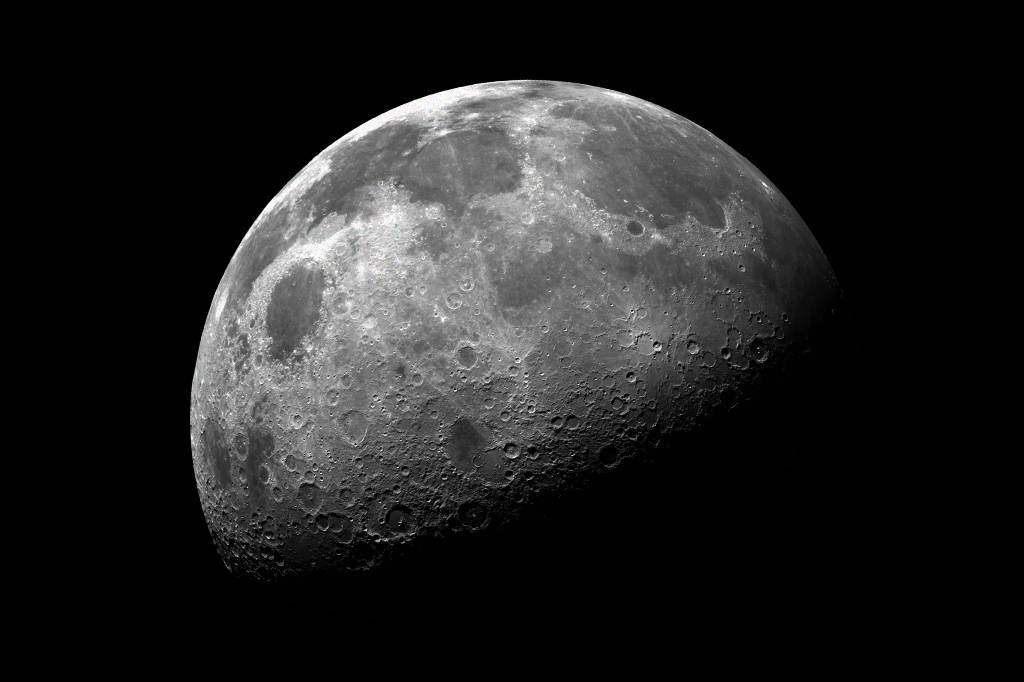Cientistas propõem guardar o DNA de 6,7 milhões de espécies na Lua