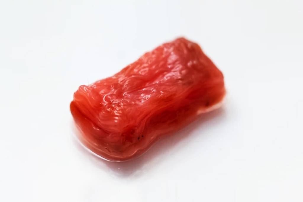 Cientistas criam bife de laboratório com textura mais próxima do músculo bovino