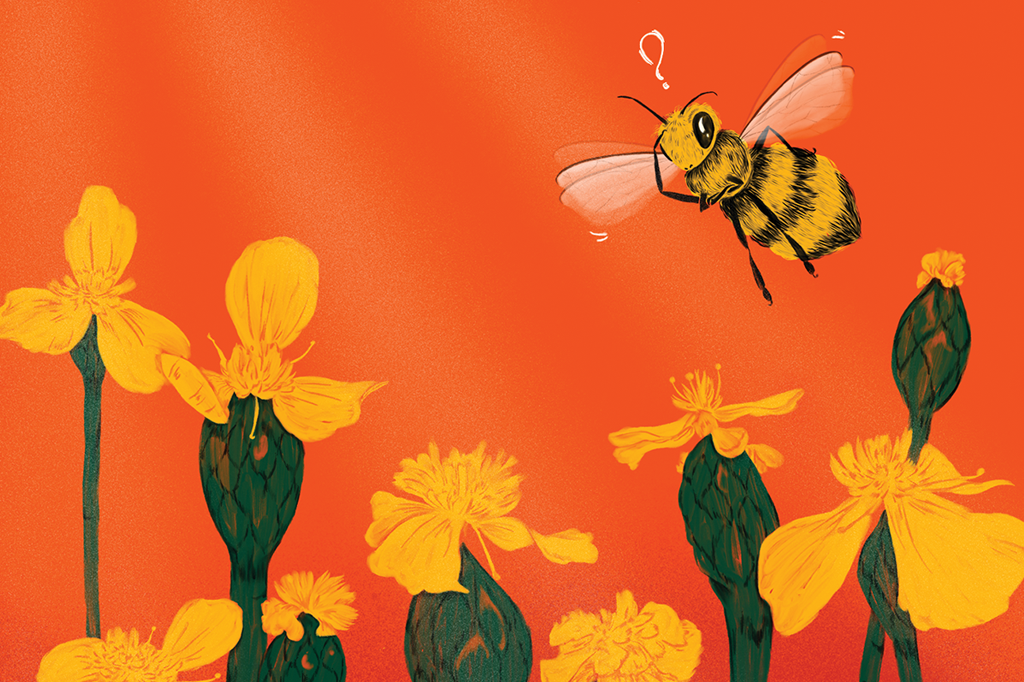 Fungo produz flores falsas para atrair polinizadores