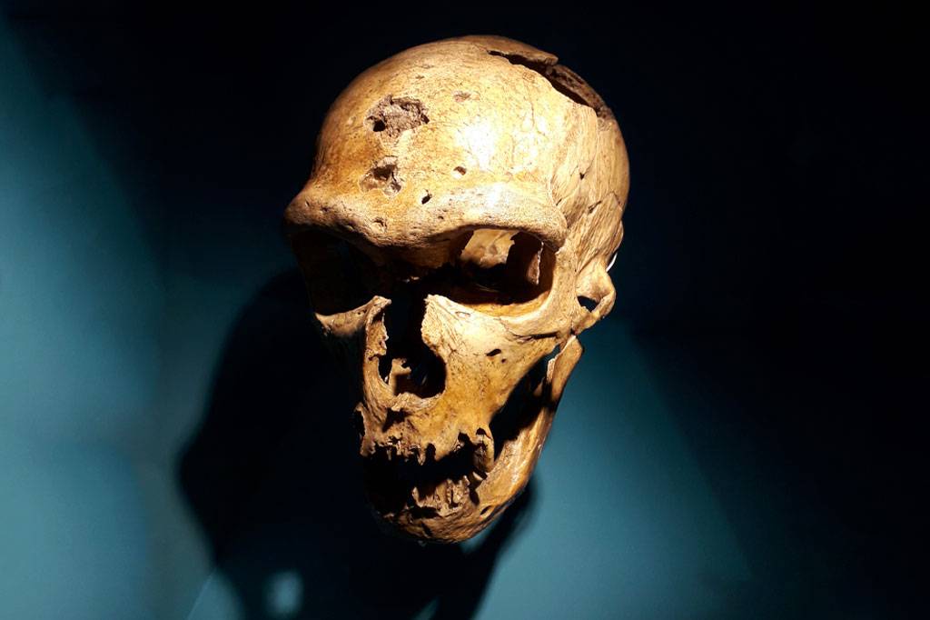 Neandertais conseguiam processar e produzir linguagem, diz estudo