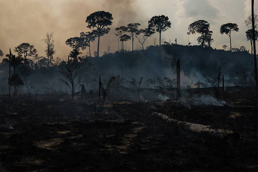 Amazônia pode estar emitindo mais gases de efeito estufa do que absorvendo, aponta estudo