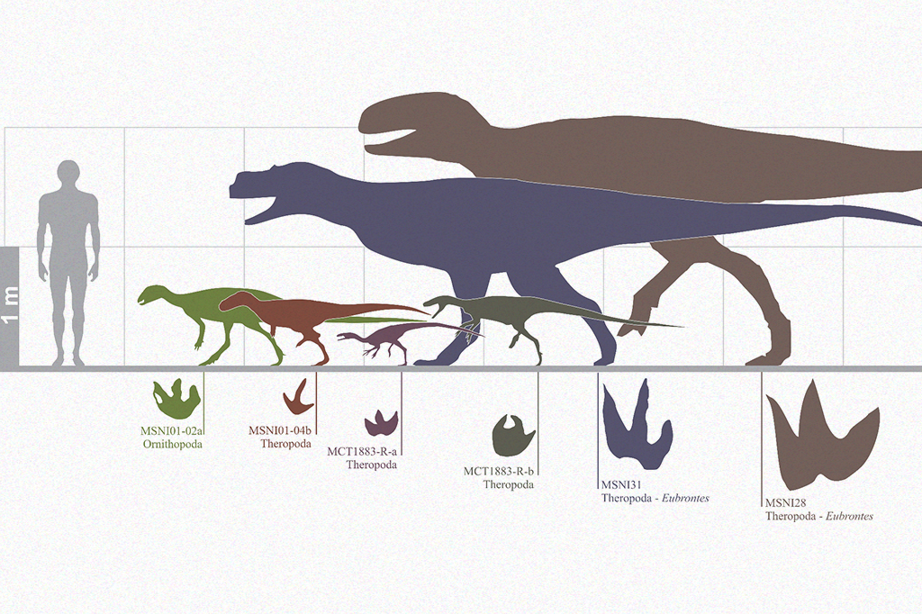 13-05_dino01_SITE Imagem comparando as pegadas de dinossauros diferentes.
