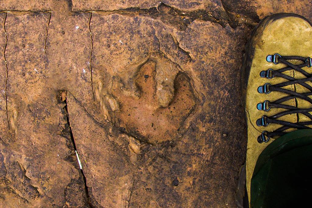 Pesquisa identifica pegadas de dinossauros no Mato Grosso do Sul