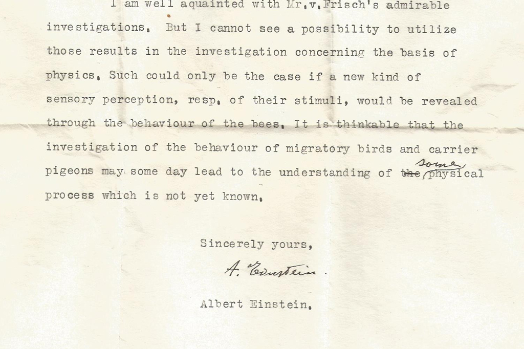 Em carta, Einstein antecipou descoberta sobre a sensibilidade magnética de animais
