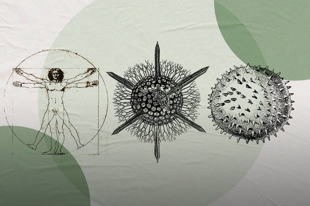 CPI da Covid: um protozoário é mais parecido com você do que com um vírus
