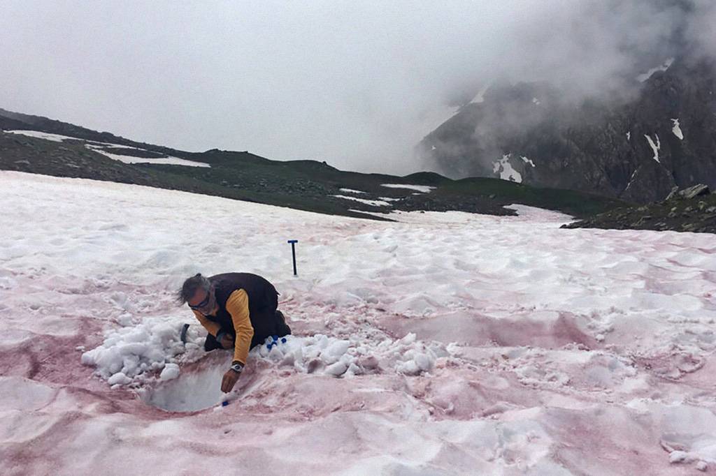 O que explica a neve rosa nos Alpes Franceses?