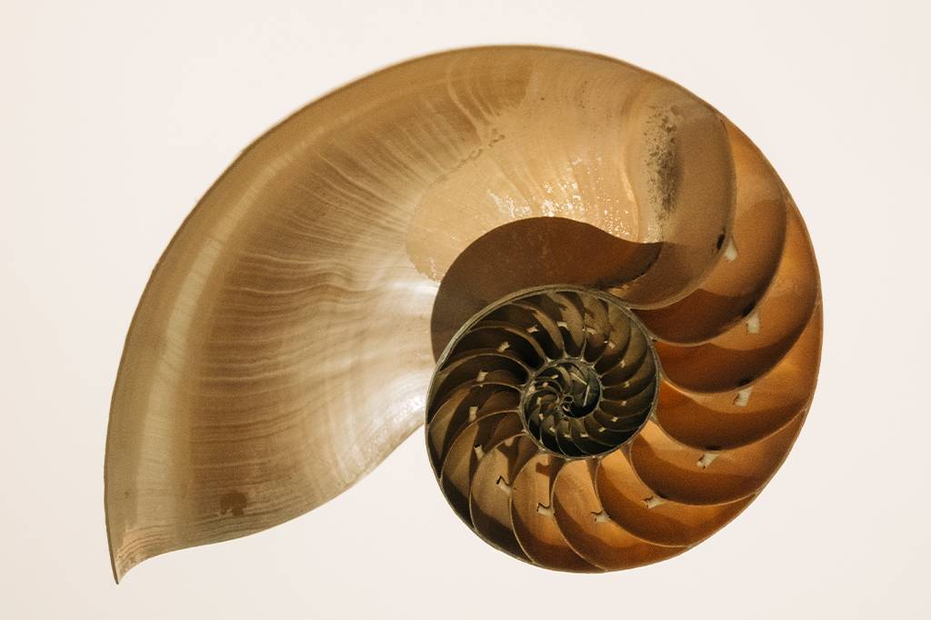 O que é a sequência de Fibonacci?