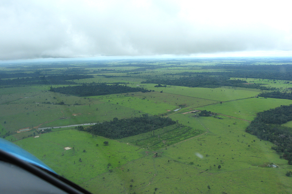 Vista aérea da Amazônia.