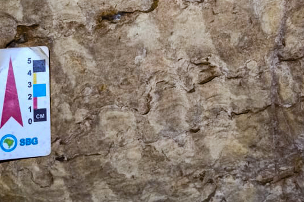 Registros fósseis em cavernas de Minas mostram que o estado já teve mar