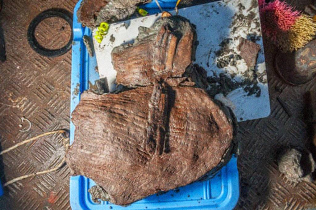 Cestas de frutas de 2,5 mil anos encontradas em cidade egípcia submersa