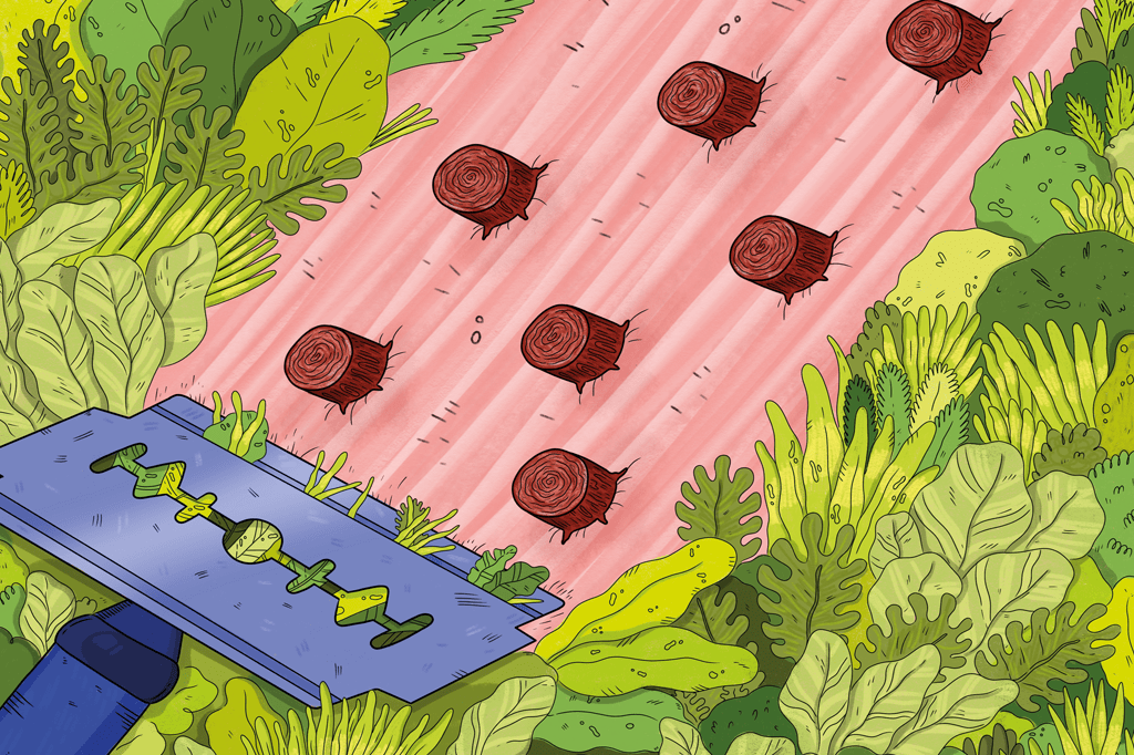 Gilette realmente engrossa os pelos?