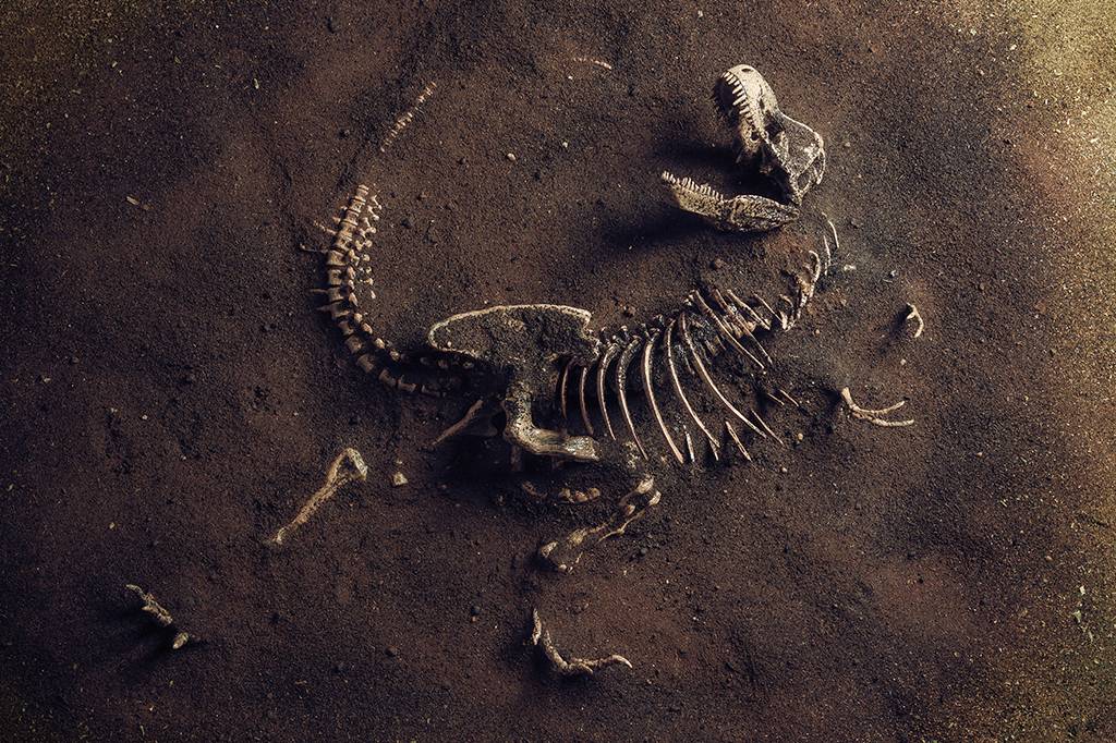 Por que é tão difícil encontrar fósseis de dinossauros no Brasil?