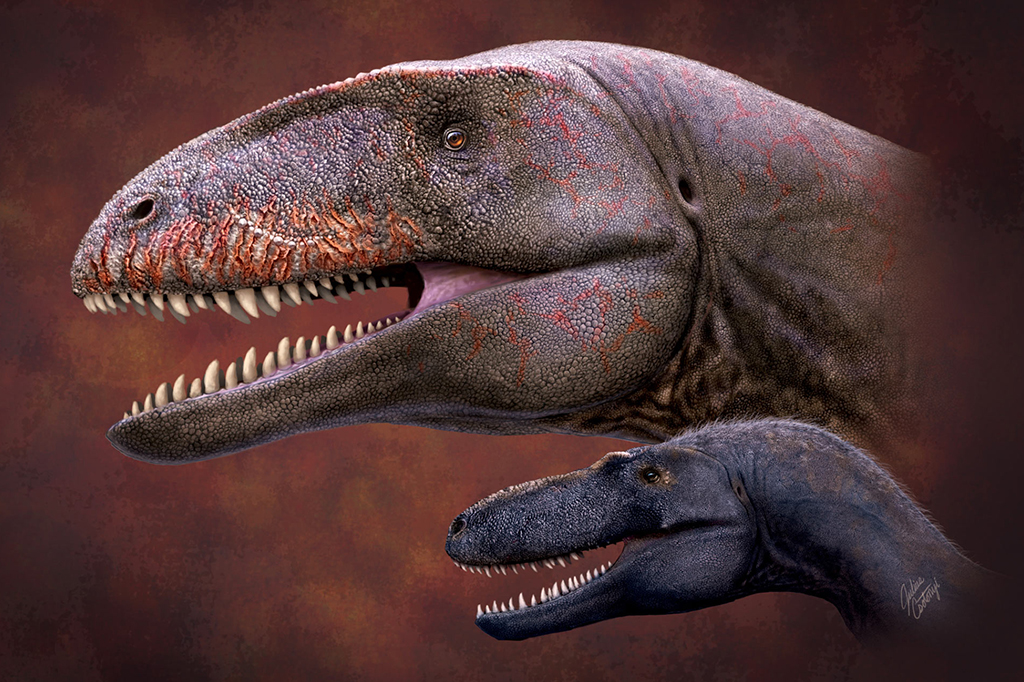 Ilustração do dinossauro Ulughbegsaurus uzbekistanensis.