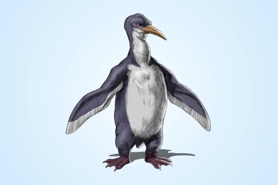 Anthropornis nordenskjoeldi (45 a 33 Ma): Antes de ser dominada pelos pinguins atuais, a Ant&aacute;rtida abrigava esp&eacute;cies gigantes. Este media 1,8 metros e pesava 90 kg
