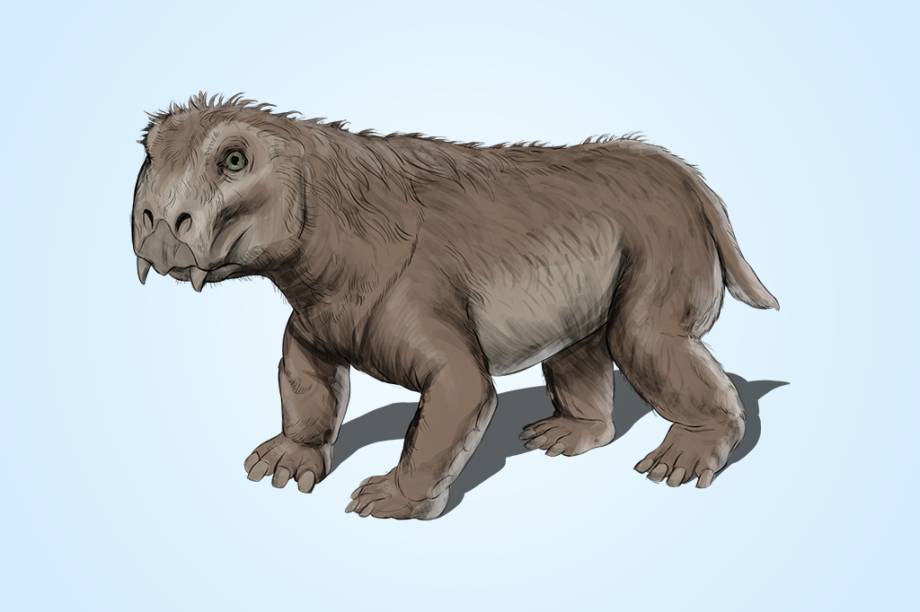 Lystrosaurus (250 Ma): Parece uma capivara com cara de tartaruga, mas &eacute; exatamente o oposto: um r&eacute;ptil que come&ccedil;ava a adquirir caracter&iacute;sticas de mam&iacute;fero.