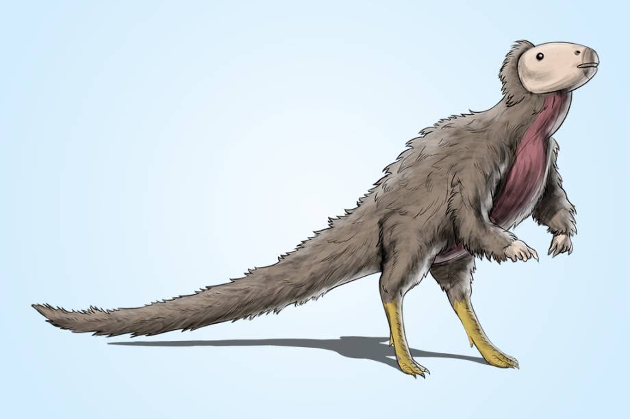 Trinisaura santamartaensis (80 Ma): &Eacute; a &uacute;nica esp&eacute;cie j&aacute; encontrada do g&ecirc;nero Trinisaura. Assim como o Antarctopelta, apenas um esp&eacute;cime foi descrito.