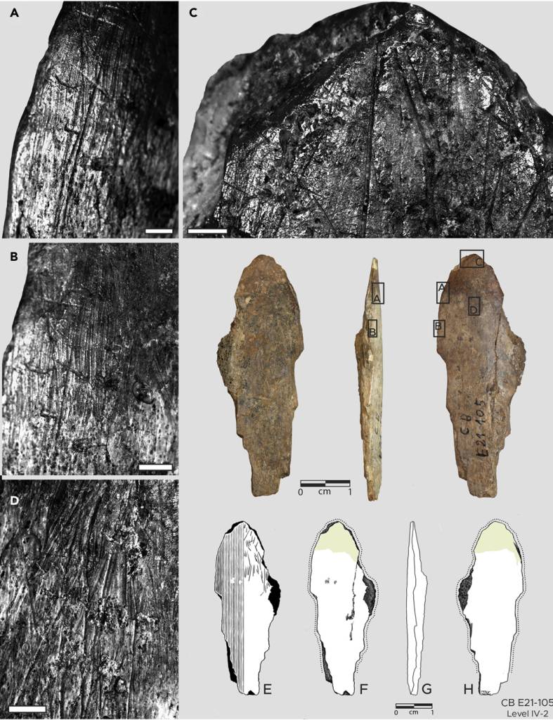 Cientistas encontram evidências de produção de roupas por humanos há 120.000 anos Fotografias e ilustrações da ferramenta espatulada de osso